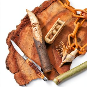 Wood Carving for Beginners: A Step-by-Step Guide by Fox Chapel-0